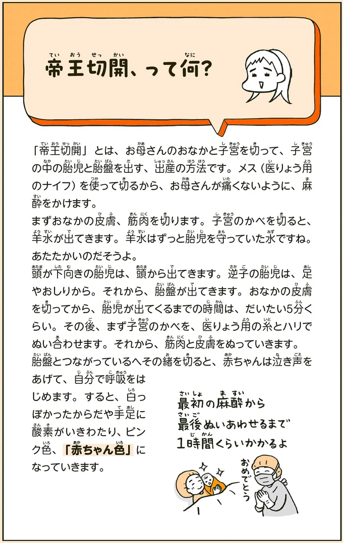 『こどもせいきょういくはじめます おうち性教育はじめますシリーズ』 14184717.webp