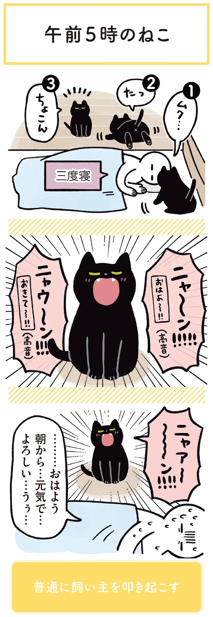 『黒猫ろんと暮らしたら1～3』 14218765.webp