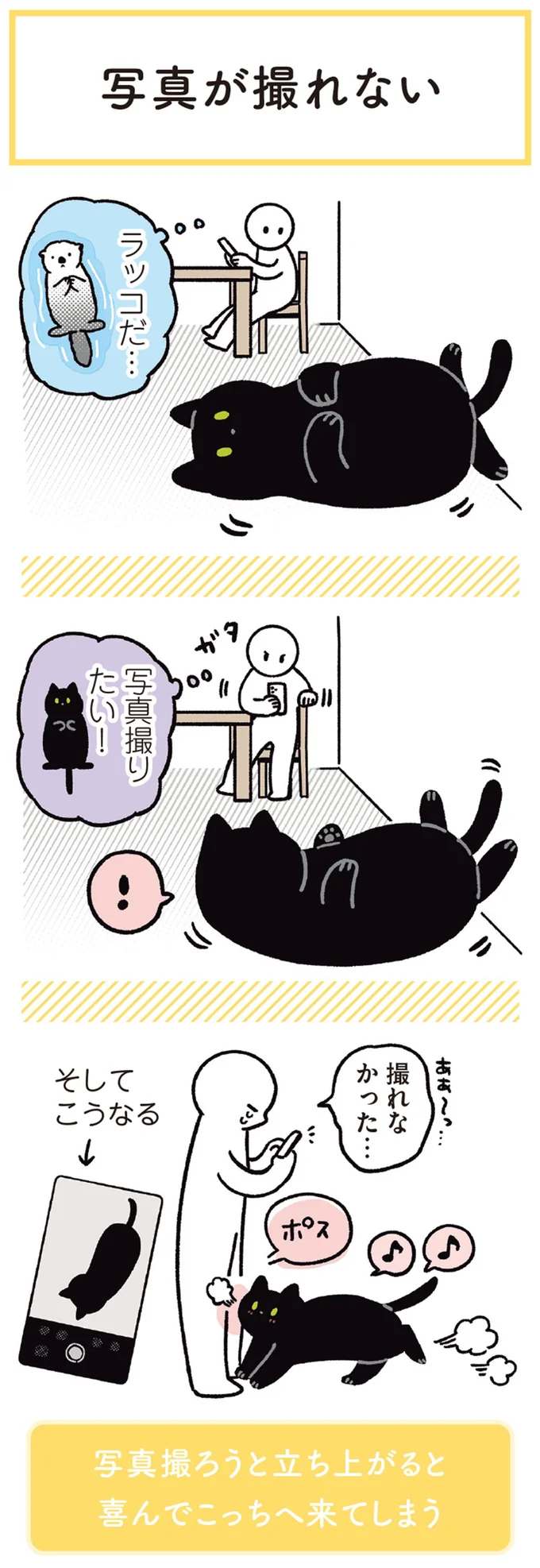 『黒猫ろんと暮らしたら1～3』 14218846.webp