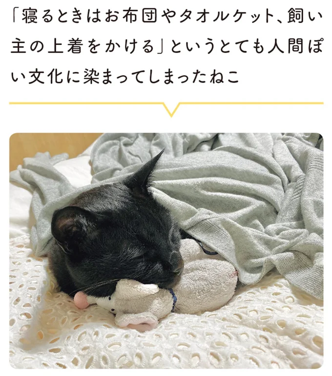愛猫の謎の「ぴるぴる」。なんなんだろう...飼い主も困惑/黒猫ろんと暮らしたら3 14218852.webp