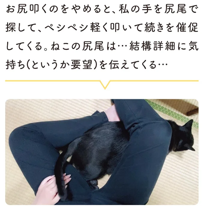 「もしかしてボクのですか？」期待してチラチラ見てくる猫。飼い主が持っているのは／黒猫ろんと暮らしたら3 14218867.webp