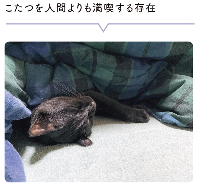クッションに座りたい黒猫。飼い主が提案した「平和的な解決法」／黒猫ろんと暮らしたら3 14218895.webp