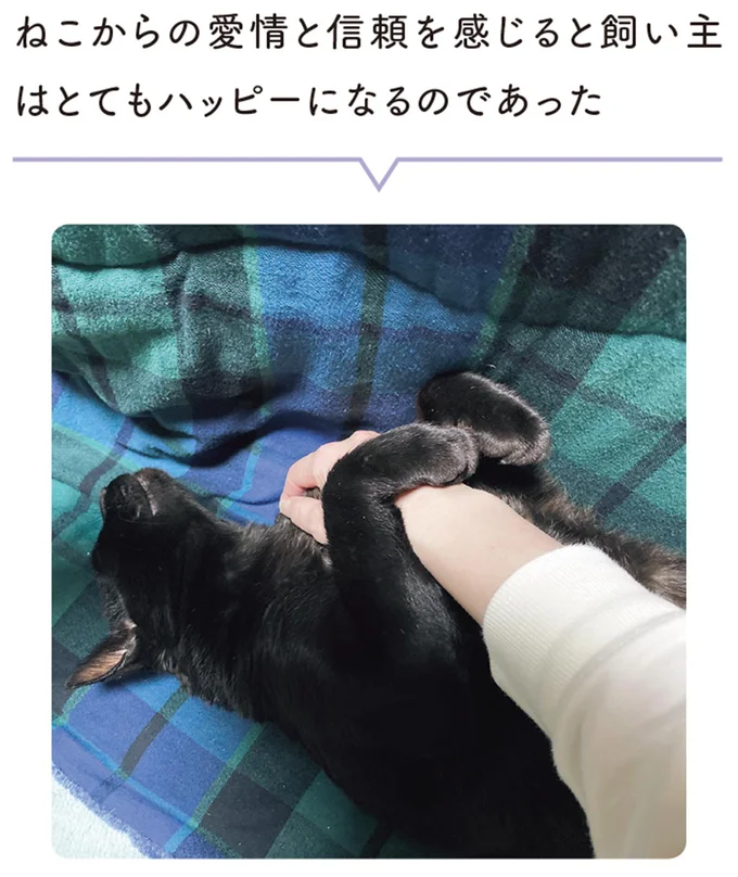 どうしても猫に水を飲んでほしい飼い主。ベッドや自分が犠牲になっても...／黒猫ろんと暮らしたら3 14218909.webp
