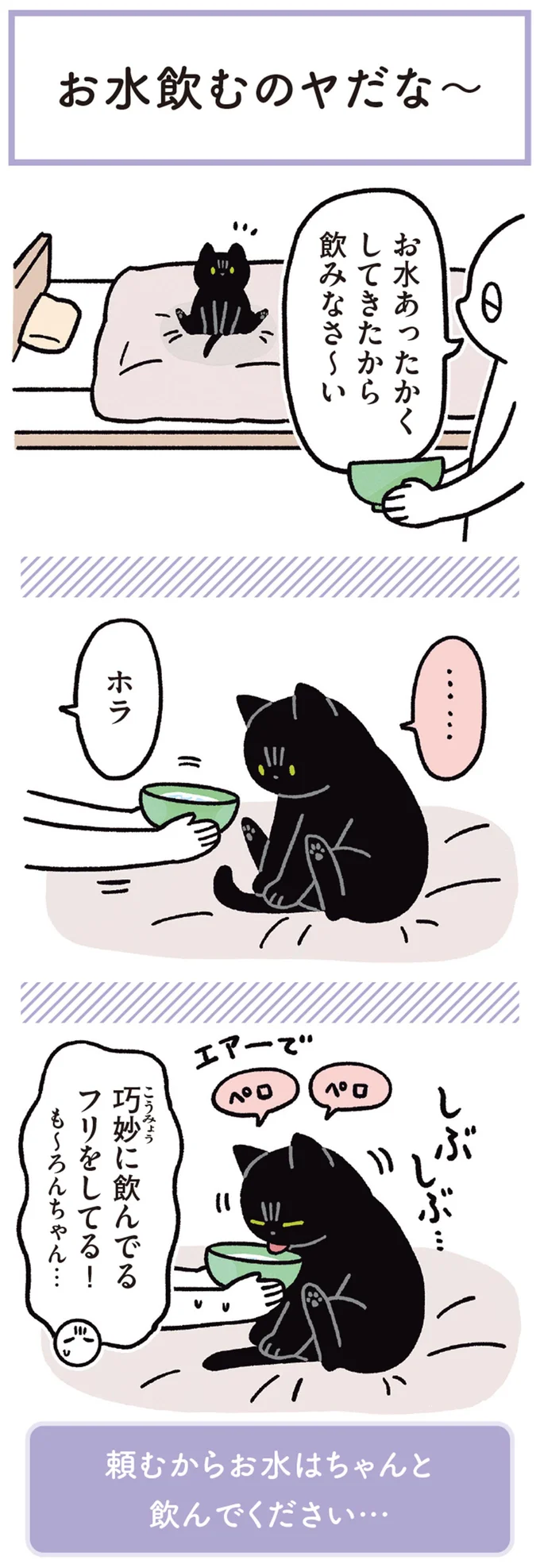 『黒猫ろんと暮らしたら1～3』 14218910.webp