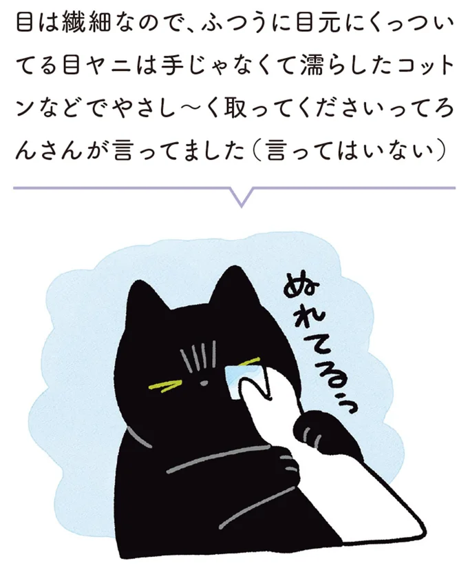 『黒猫ろんと暮らしたら1～3』 14218925.webp