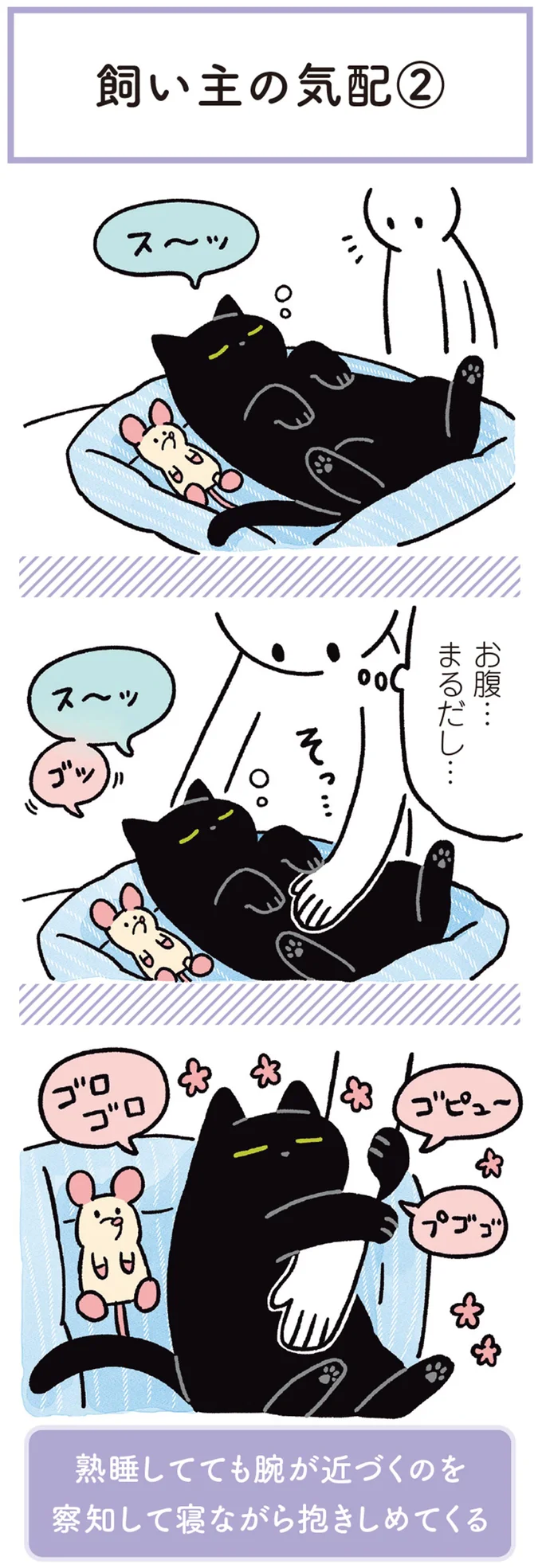 『黒猫ろんと暮らしたら1～3』 14218933.webp