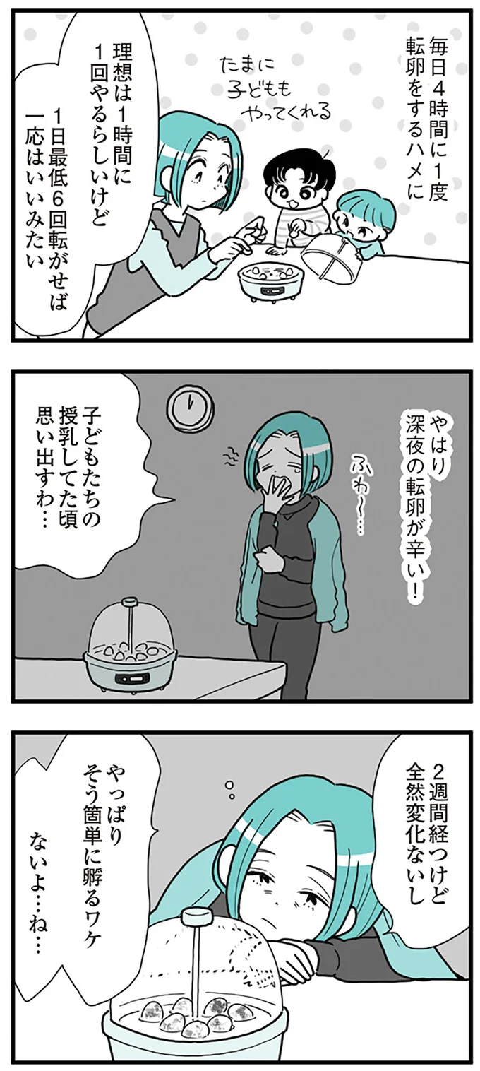 『うずら男　モラハラかまって夫が人間をやめるまで』 14255634.webp