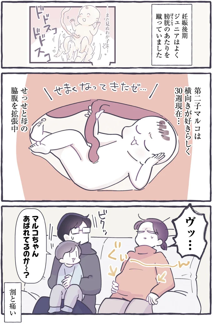 「うっ」お腹の子はすくすく成長中。でも脇腹への圧力がすごすぎて／るしこの子育て日記4 14288334.webp