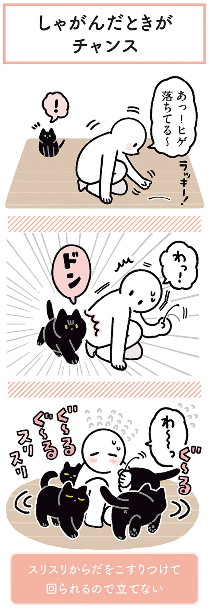 猫にこんなことされたら立てない...飼い主がしゃがんだら／黒猫ろんと暮らしたら4 14304003.webp