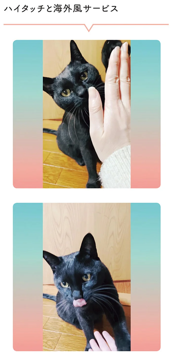 『黒猫ろんと暮らしたら』4～6 14304007.webp