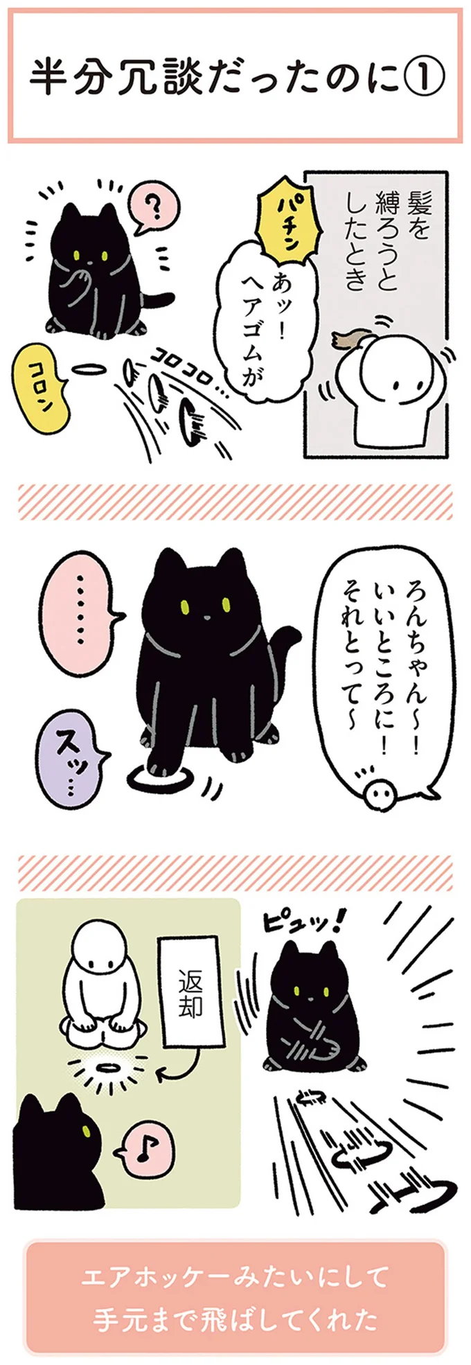 「それとって～」猫に言ってみたら...天才！／黒猫ろんと暮らしたら4 14304135.webp