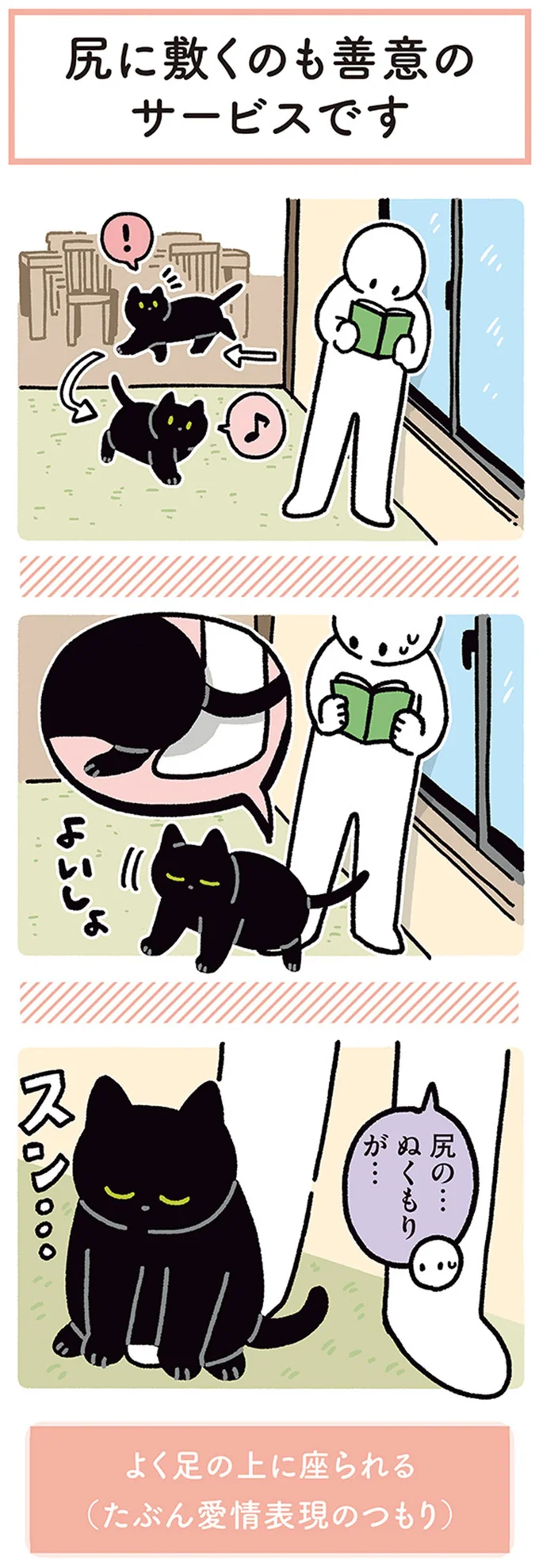 『黒猫ろんと暮らしたら』4～6 14304143.webp