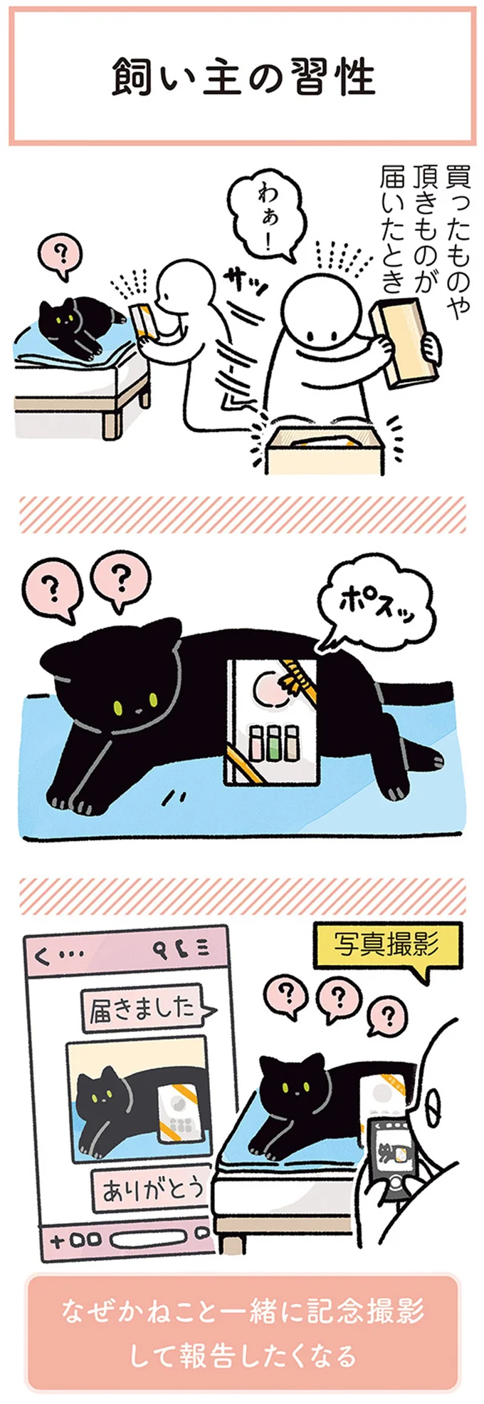 「ジャーン!!」「わぁ!?」飼い主が新聞を広げると、黒猫はコッソリ後ろに隠れて.../黒猫ろんと暮らしたら4 14304149.webp