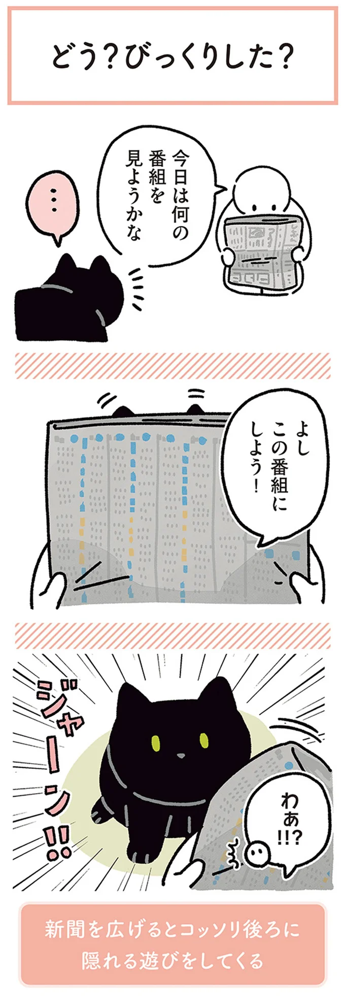 『黒猫ろんと暮らしたら』4～6 14304151.webp