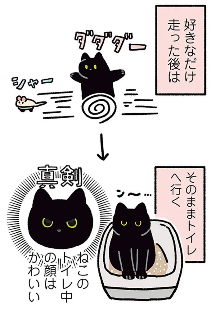 『黒猫ろんと暮らしたら』4～6 14304154.webp