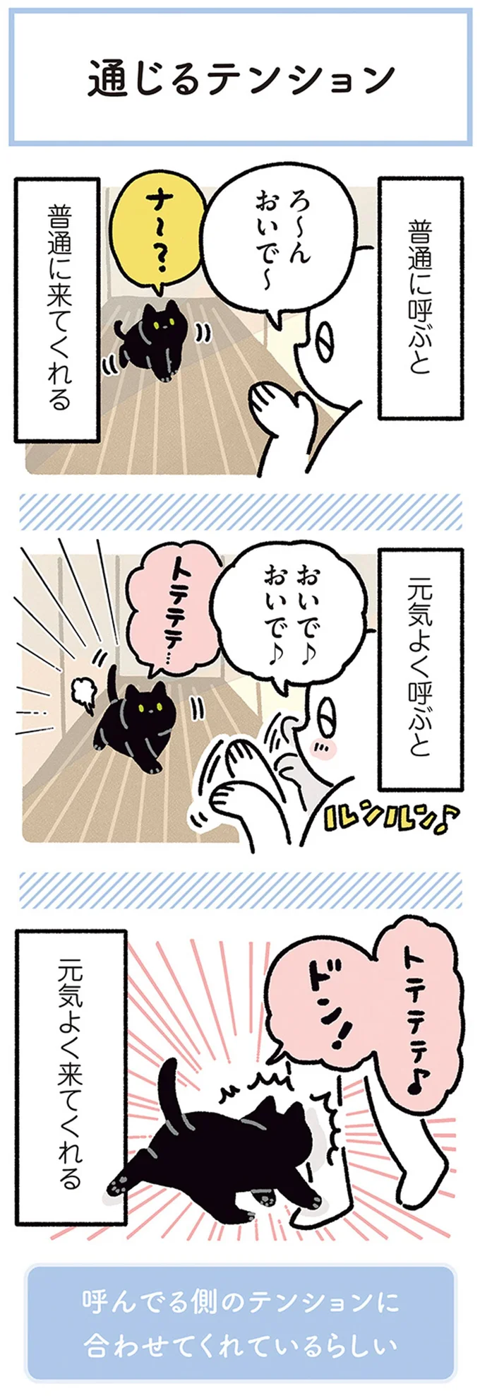 猫が寄ってくる時のこと。あれ、呼ぶ声のテンションに合わせてる...？／黒猫ろんと暮らしたら4 14304165.webp