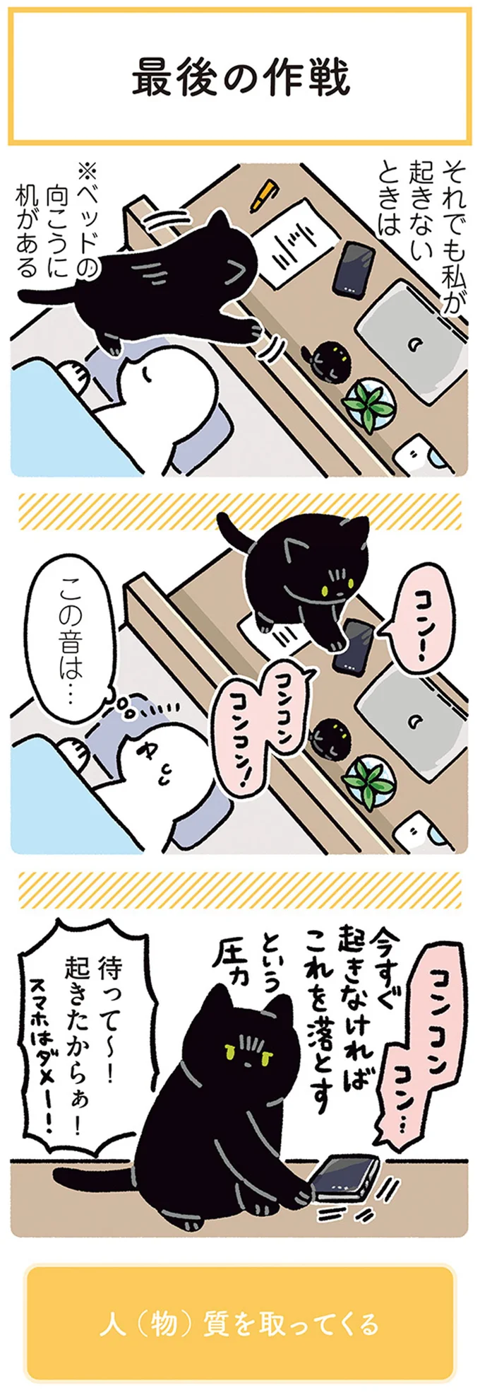 『黒猫ろんと暮らしたら』4～6 14304198.webp