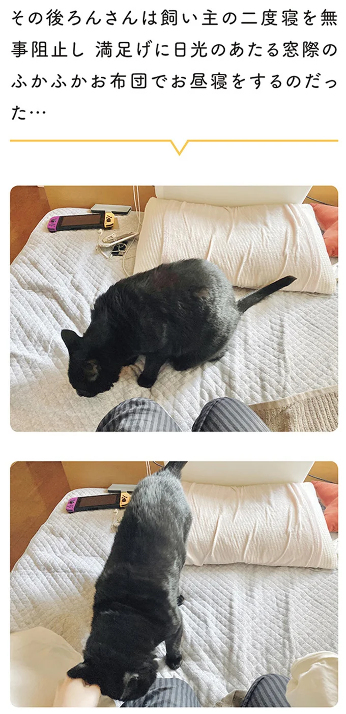 『黒猫ろんと暮らしたら』4～6 14304199.webp