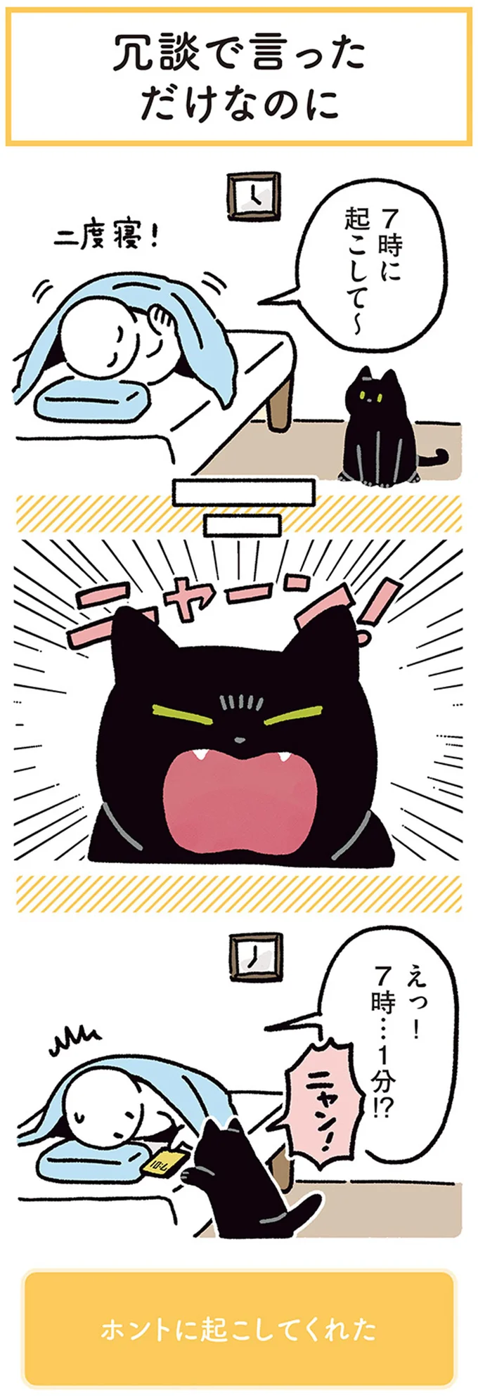 『黒猫ろんと暮らしたら』4～6 14304205.webp