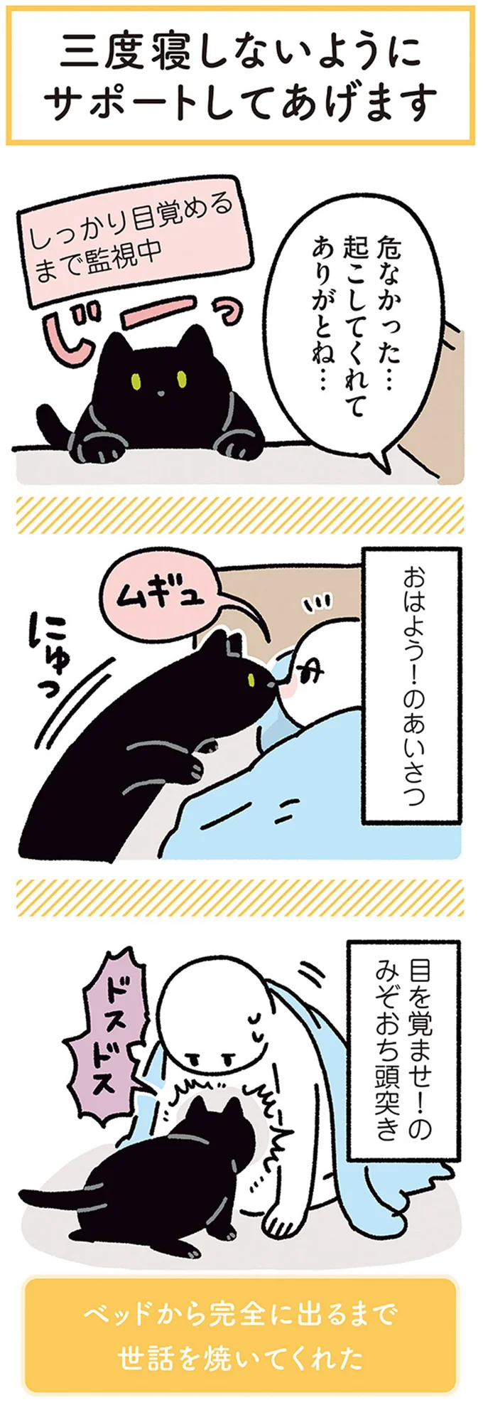 『黒猫ろんと暮らしたら』4～6 14304206.webp