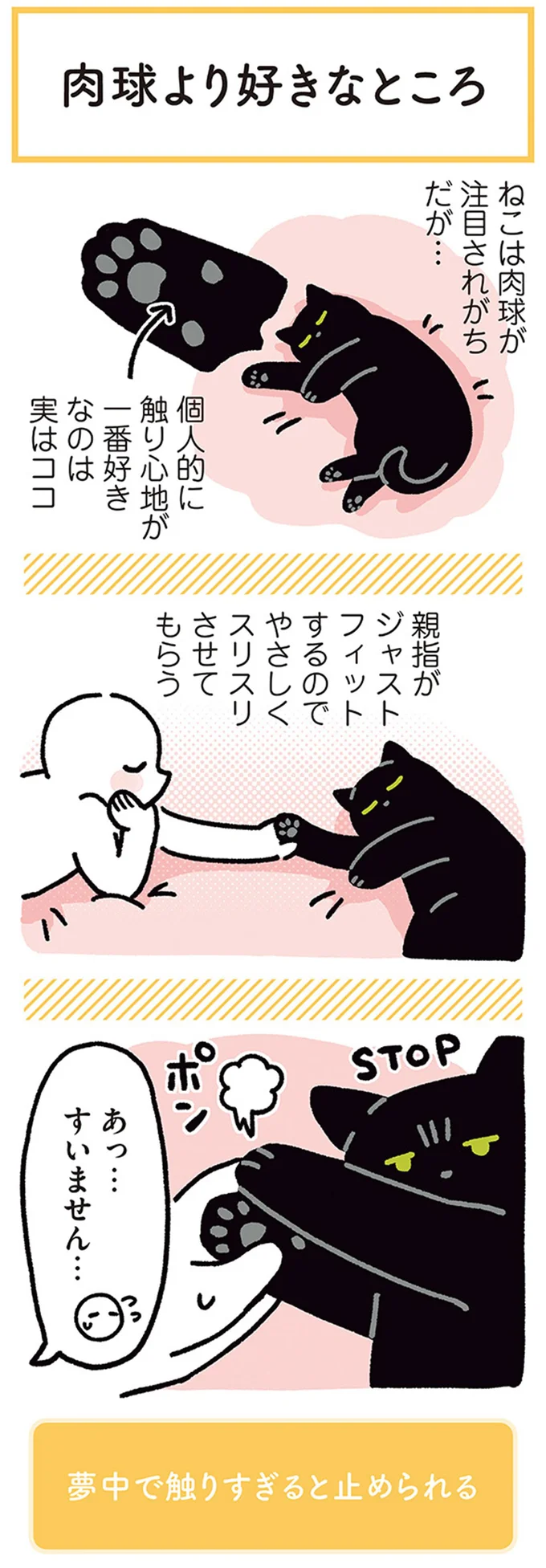 『黒猫ろんと暮らしたら』4～6 14304247.webp