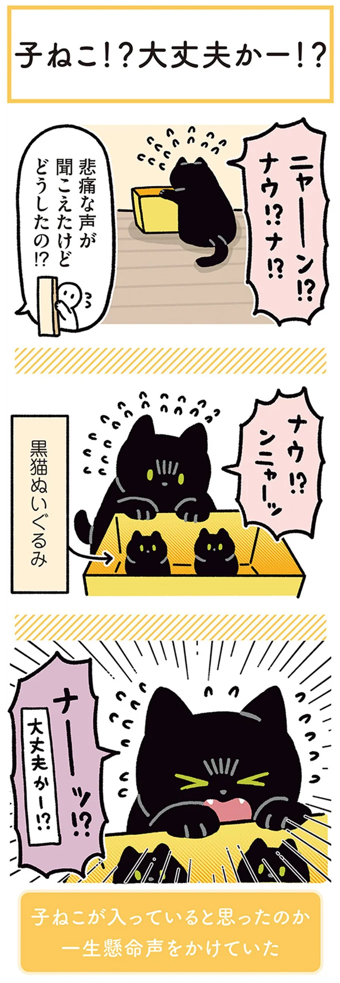 どうしたの!? 猫の「悲痛な声」。なんていじらしいの...!/黒猫ろんと暮らしたら4 14304252.webp