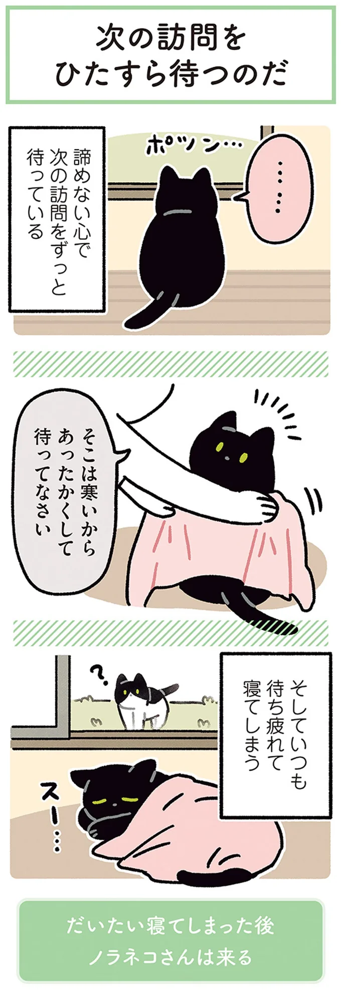 『黒猫ろんと暮らしたら』4～6 14304282.webp