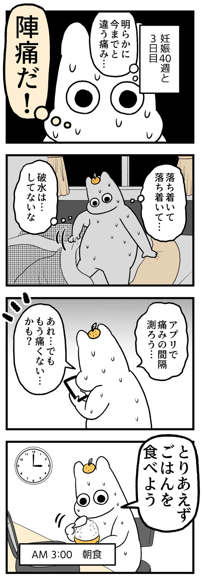 ついに来た陣痛。間隔は?支度は?そしてすっかり忘れた「あのこと」/つわりが怖くて2人目に踏み切れない話 14308697.webp