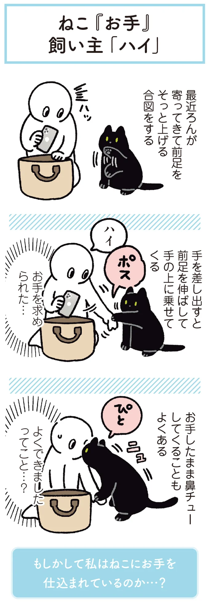 正しい「お手」を教えてくれる猫。差し出した飼い主の手をひっくり返し...!?/黒猫ろんと暮らしたら5 14371861.webp