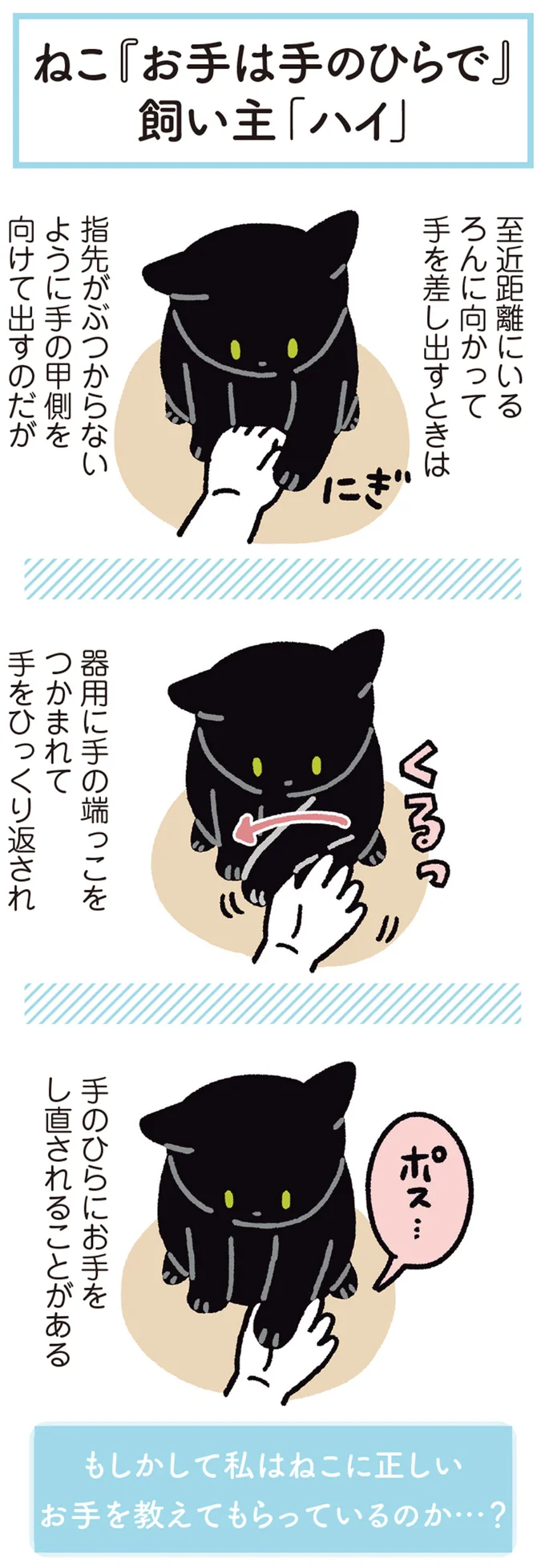 『黒猫ろんと暮らしたら』4～6 14371862.webp