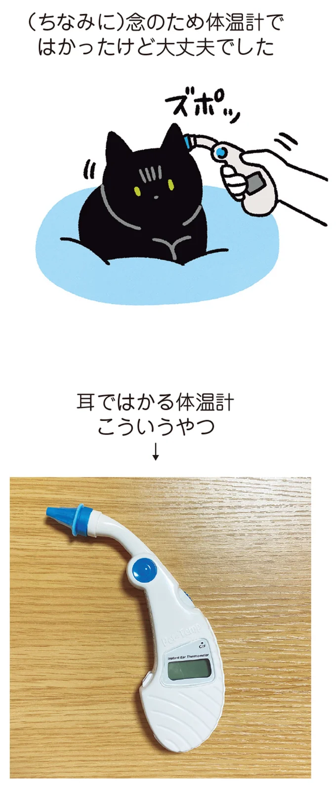 『黒猫ろんと暮らしたら』4～6 14371864.webp