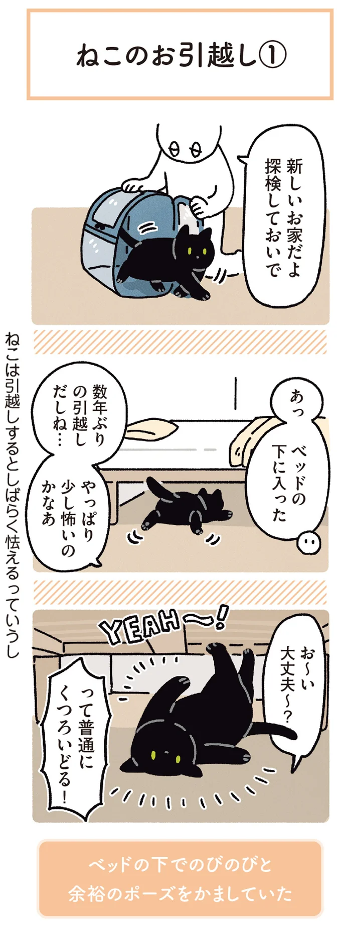 怯えてない...⁉ 新しい家を初日からくまなく探検するうちの猫/黒猫ろんと暮らしたら5 14371921.webp