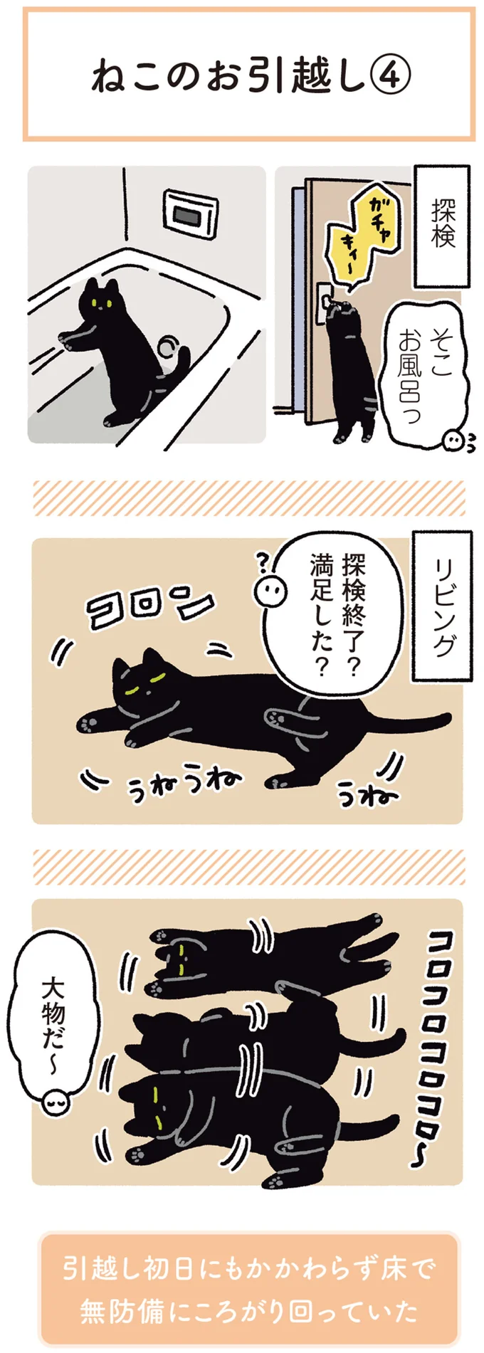 『黒猫ろんと暮らしたら』4～6 14371925.webp