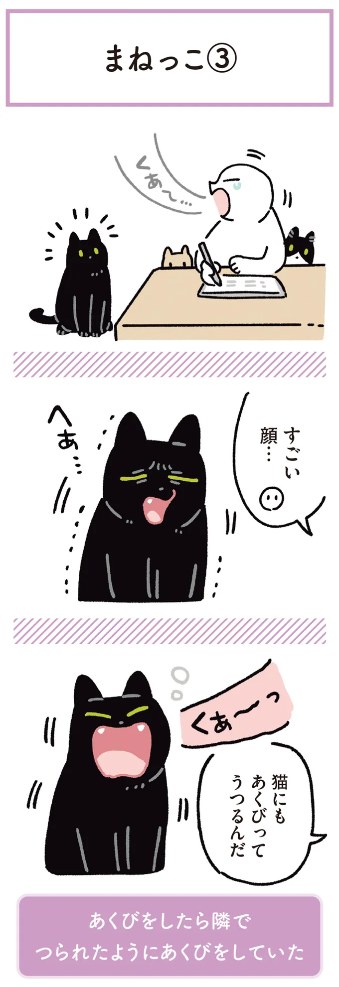 『黒猫ろんと暮らしたら』4～6 14372051.webp