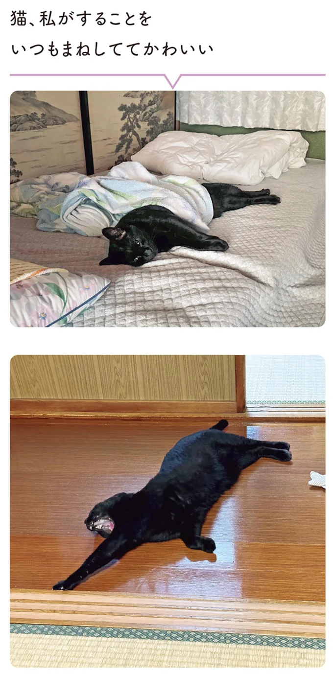 『黒猫ろんと暮らしたら』4～6 14372054.webp