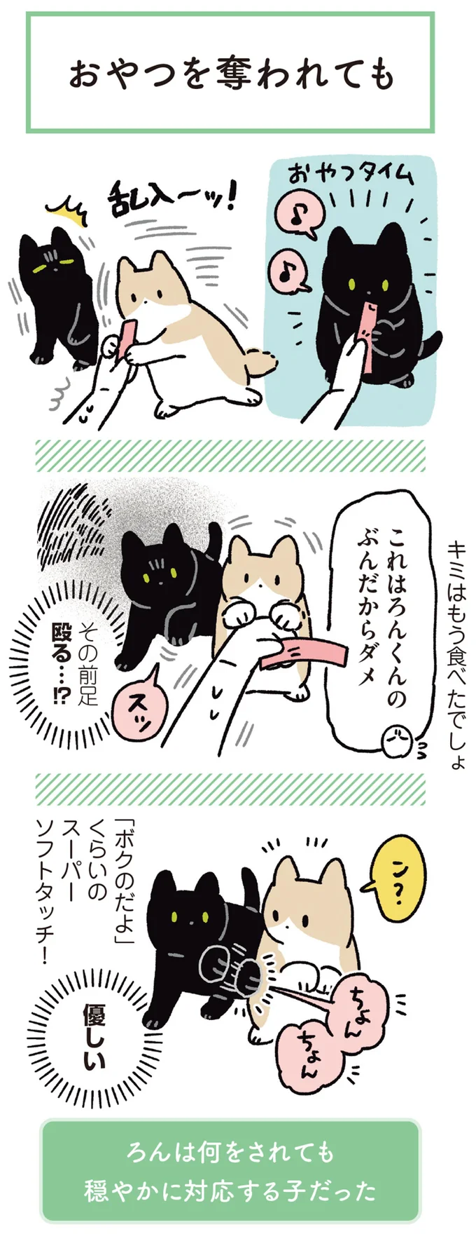 おやつタイムに新しい子猫が乱入! 先輩猫の反応は...?/黒猫ろんと暮らしたら6 14372066.webp