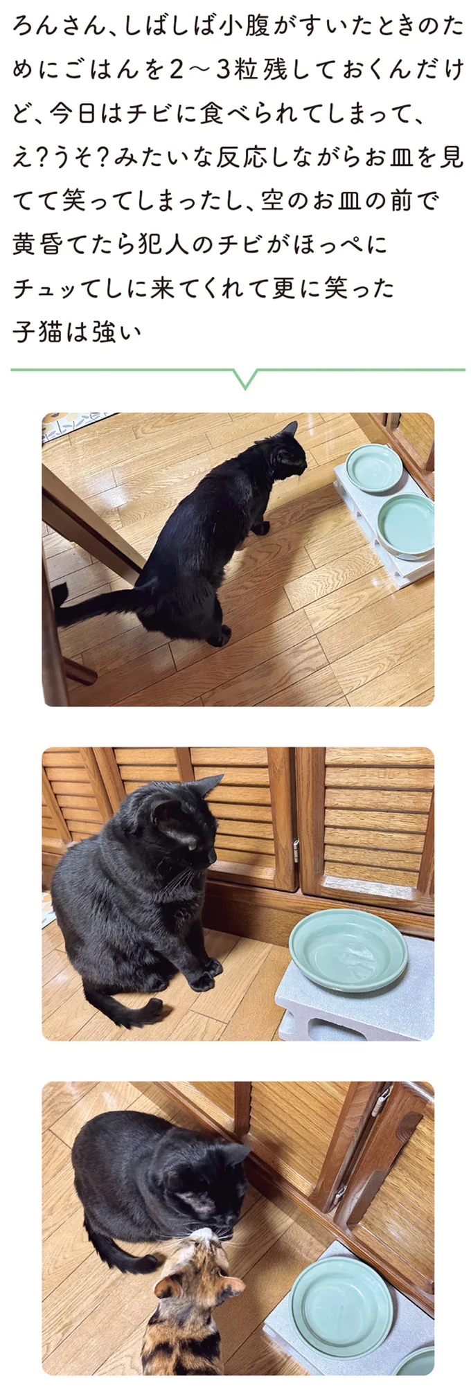 『黒猫ろんと暮らしたら』4～6 14372067.webp