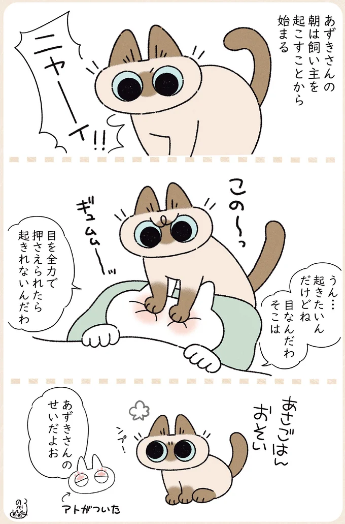 気持ちはわかるけど、これでは起きられない...愛猫の朝の日課／ますます!!!!!! シャム猫あずきさんは世界の中心 14509139.webp