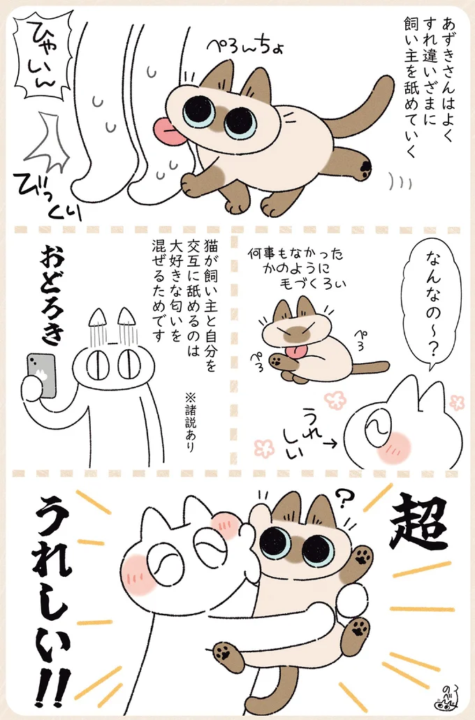 『ますます!!!!!! シャム猫あずきさんは世界の中心』 14509141.webp