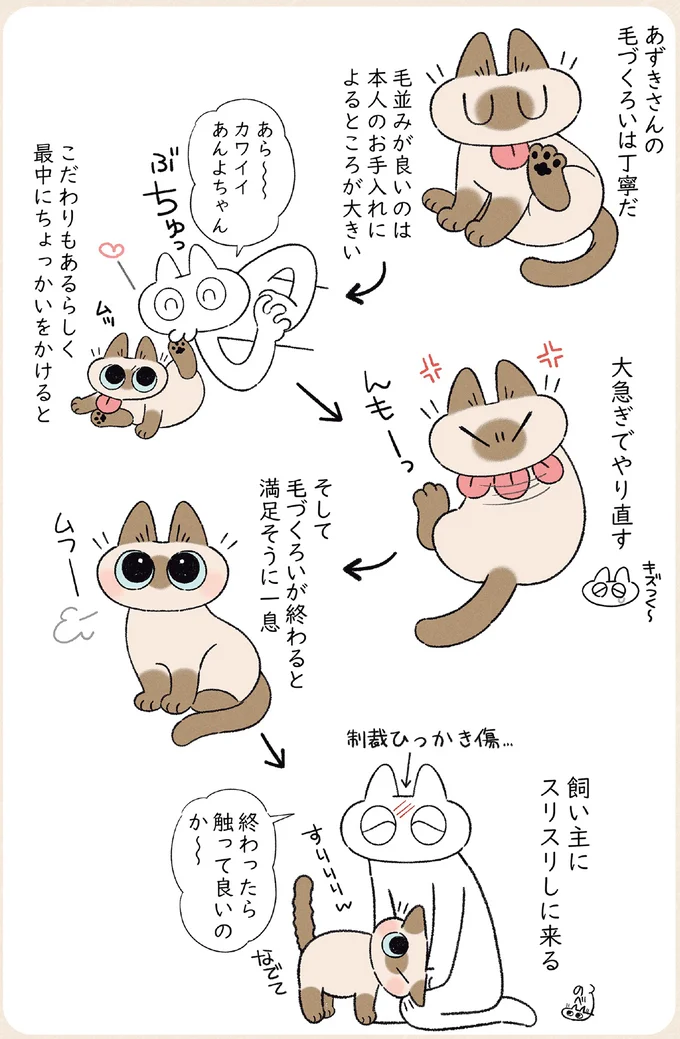 毛づくろいの最中に触ると怒る愛猫。なのに終わると...!?／ますます!!!!!! シャム猫あずきさんは世界の中心 14526737.webp
