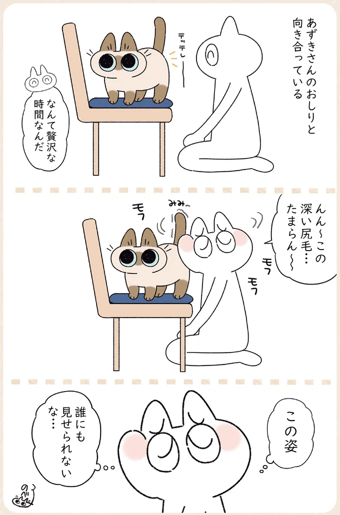 毛づくろいの最中に触ると怒る愛猫。なのに終わると...!?／ますます!!!!!! シャム猫あずきさんは世界の中心 14526738.webp