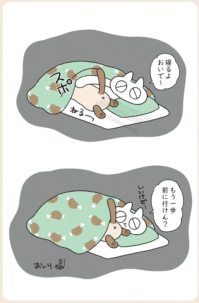 『ますます!!!!!! シャム猫あずきさんは世界の中心』 14526739.webp