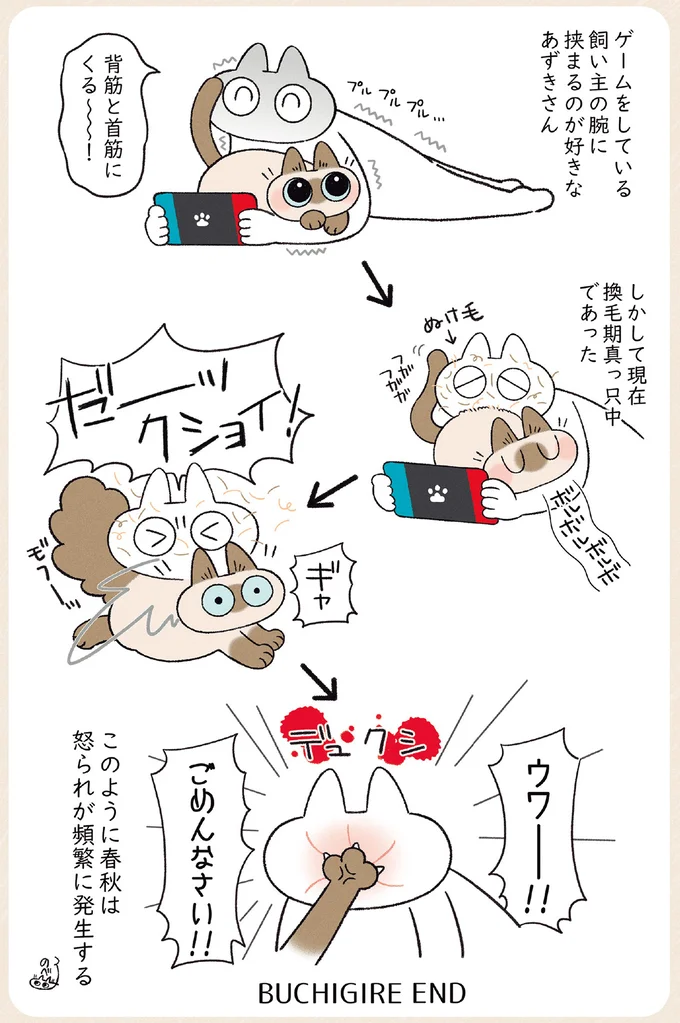 『ますます!!!!!! シャム猫あずきさんは世界の中心』 14526745.webp