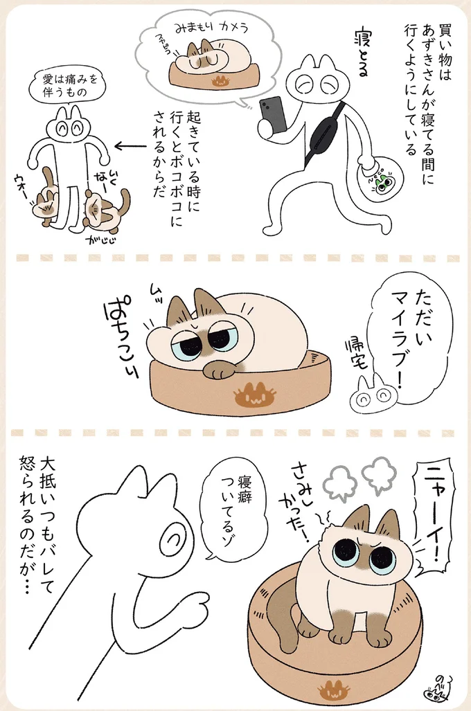 買い物は愛猫が寝ている間にこっそり。帰宅して声をかけると!?／ますます!!!!!! シャム猫あずきさんは世界の中心 14526760.webp