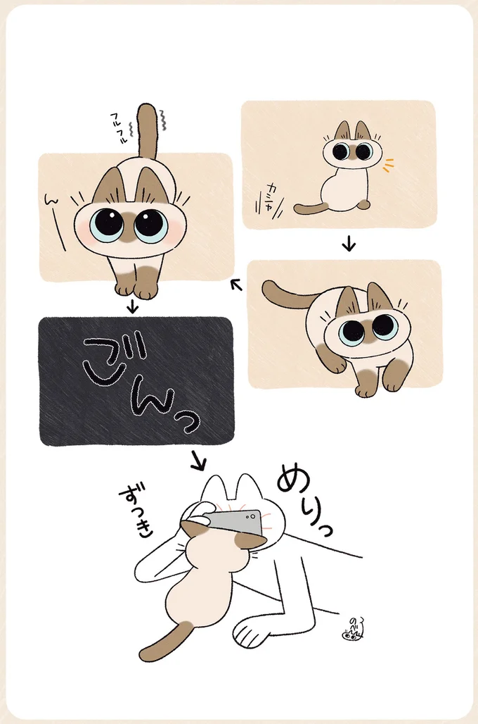 『ますます!!!!!! シャム猫あずきさんは世界の中心』 14526762.webp