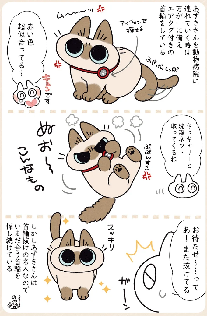 『ますます!!!!!! シャム猫あずきさんは世界の中心』 14526771.webp