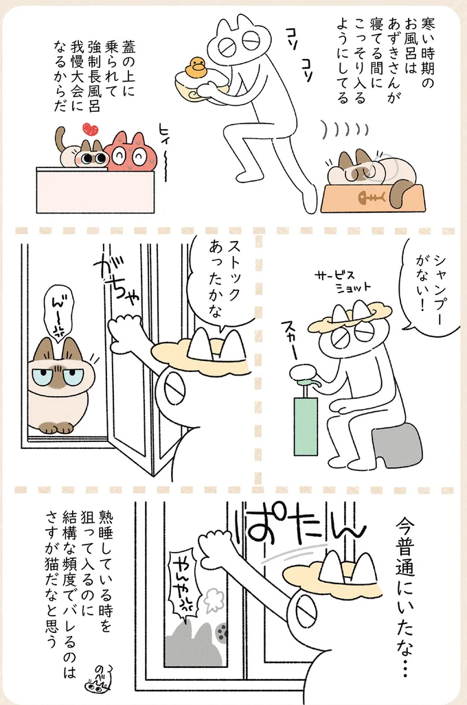 さすが猫だな。愛猫が熟睡中にお風呂に入ったのに...／ますます!!!!!! シャム猫あずきさんは世界の中心 14526787.webp