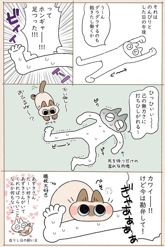 「今は勘弁して！」愛猫の膝枕も喜べないほど飼い主がピンチに／ますます!!!!!! シャム猫あずきさんは世界の中心 14526791.webp