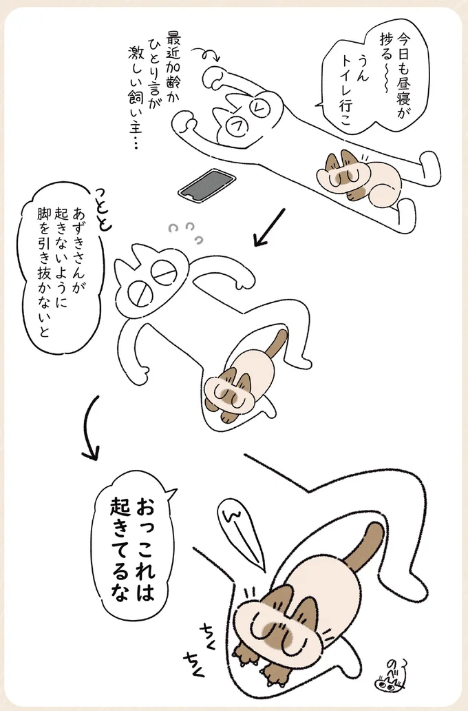 『ますます!!!!!! シャム猫あずきさんは世界の中心』 14526797.webp