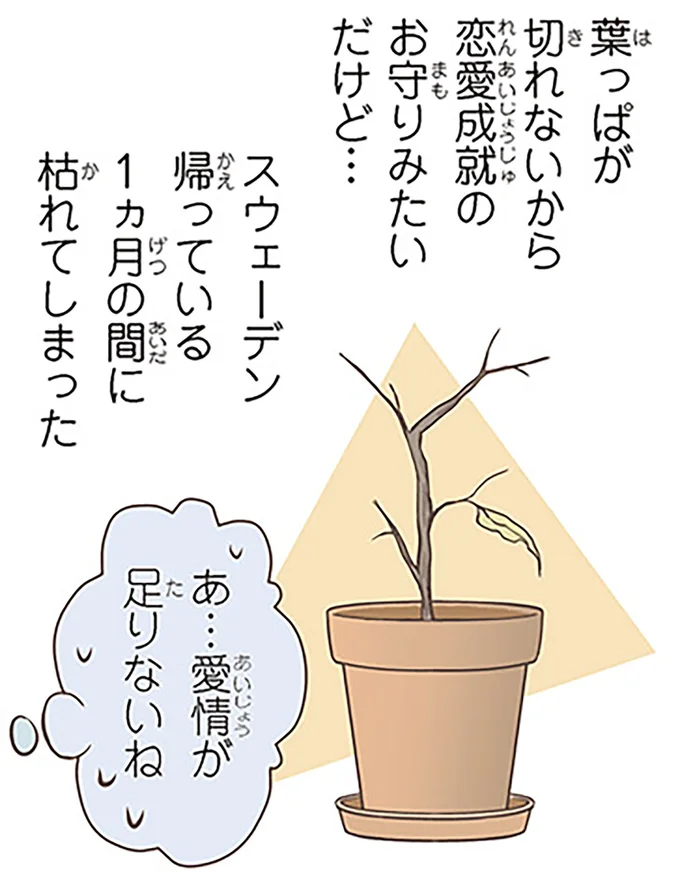 『北欧女子オーサが見つけた日本の不思議』1～3 14554944.webp